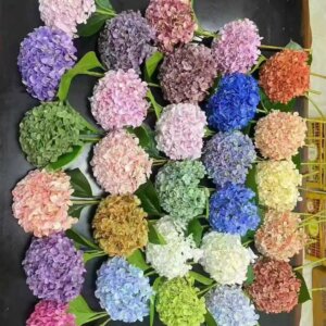 3D Printed Ultra-Realistic Artificial Hydrangea | Multi-Color Options | Factory Direct Wholesale